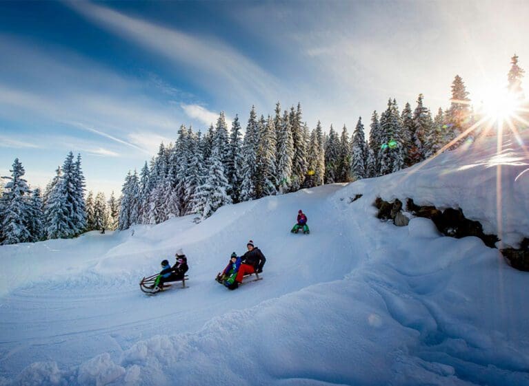 Rodeln - Winterurlaub in Filzmoos, Ski amadé