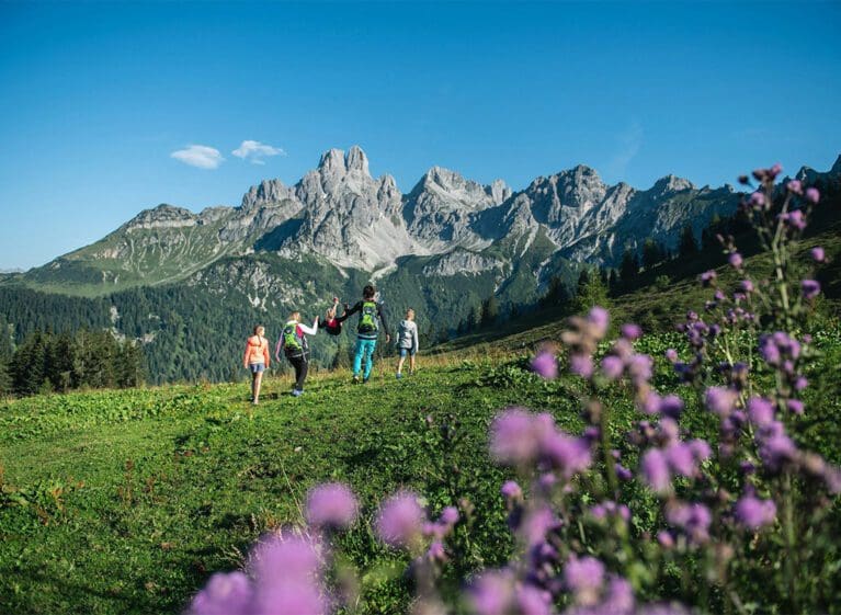 Wandern - Sommerurlaub in Filzmoos, Salzburger Land