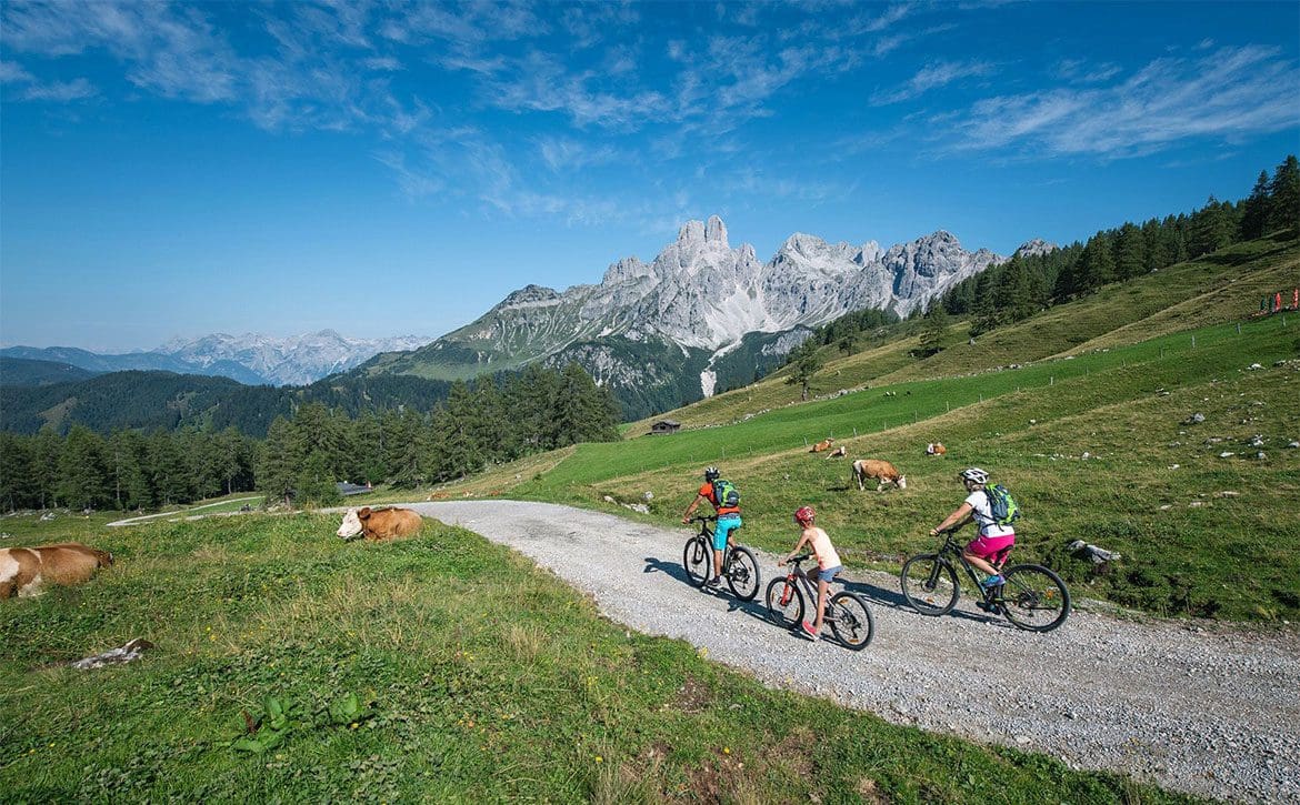 Mountainbiken - Sommerurlaub in Filzmoos, Salzburger Land
